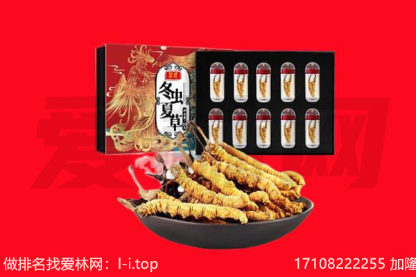 揭阳市榕城回收虫草.jpg